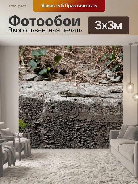 Фотообои Ящерица на стене