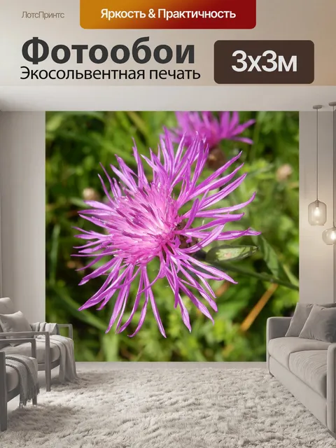 Фотообои Василек