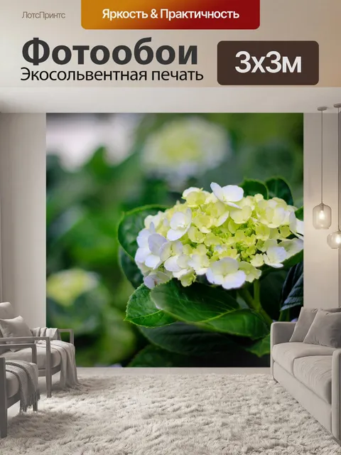 Фотообои Цветок
