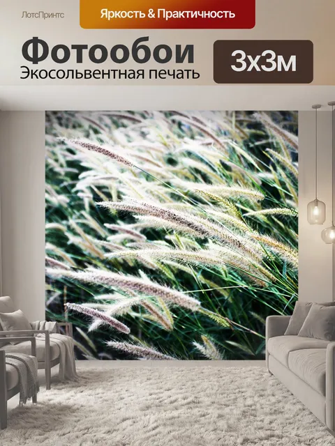 Фотообои Полевые цветы