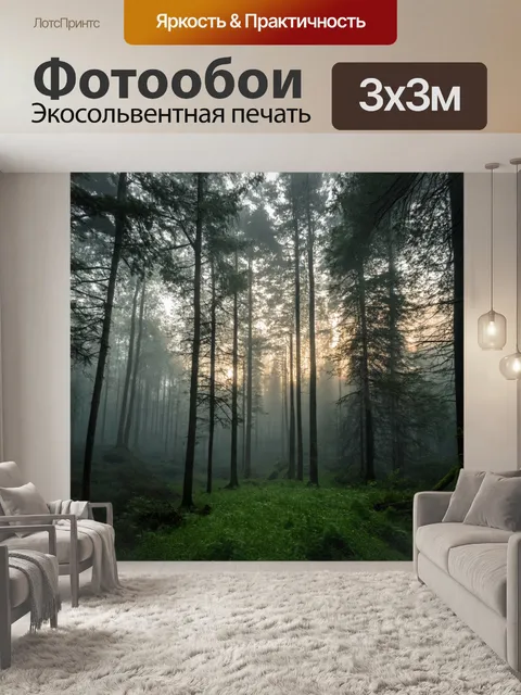 Фотообои лес с утренним туманом, покрывающим низкие участки, и мягким светом рассвета