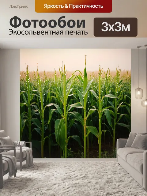Фотообои туман в стиле ретро, пейзаж с кукурузным полем, окутанным легким туманом, утренняя роса сверкает на стеблях