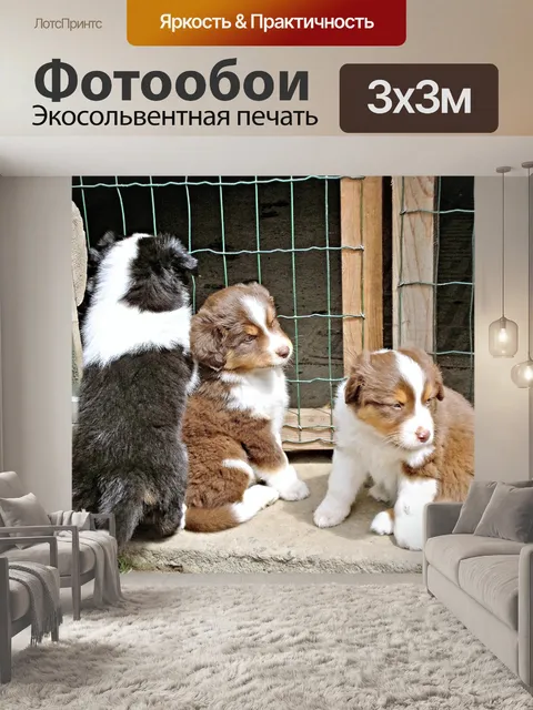 Фотообои Собаки