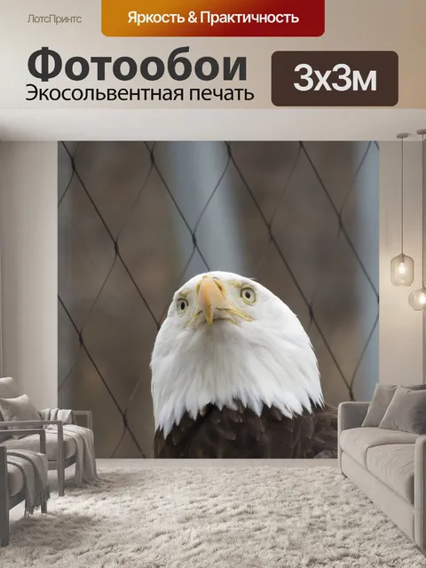 Фотообои Орел