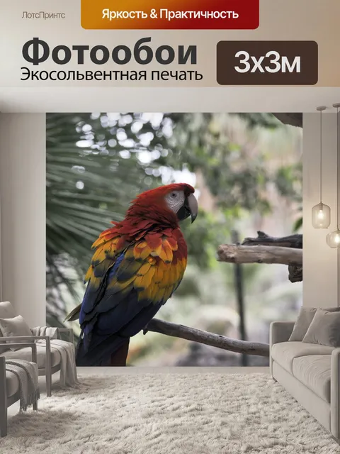 Фотообои Попугай ара
