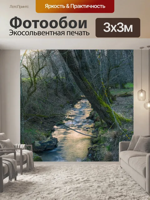 Фотообои Ручей