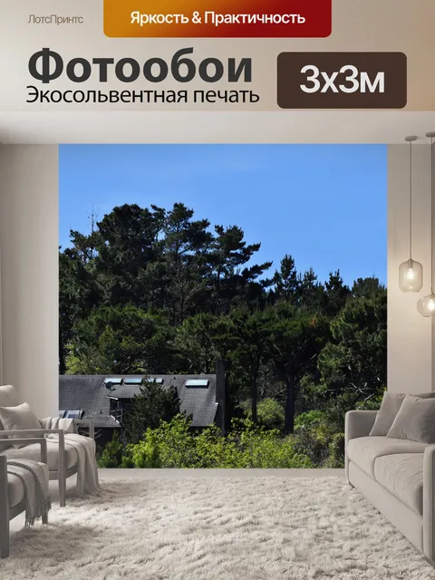Фотообои Дом в лесу