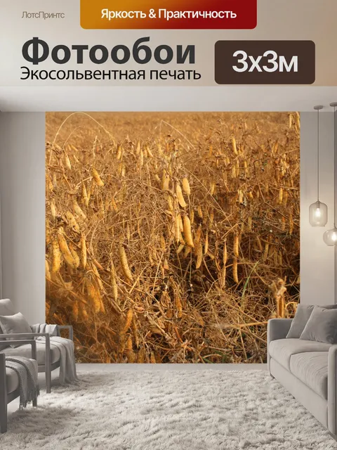 Фотообои Ферма Золотой Peas Растениеводство