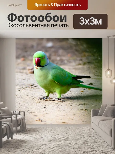 Фотообои Птица