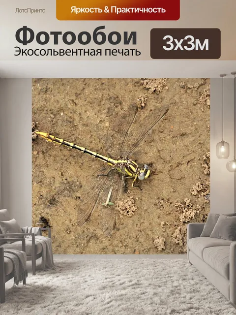 Фотообои Желтая стрекоза на земле