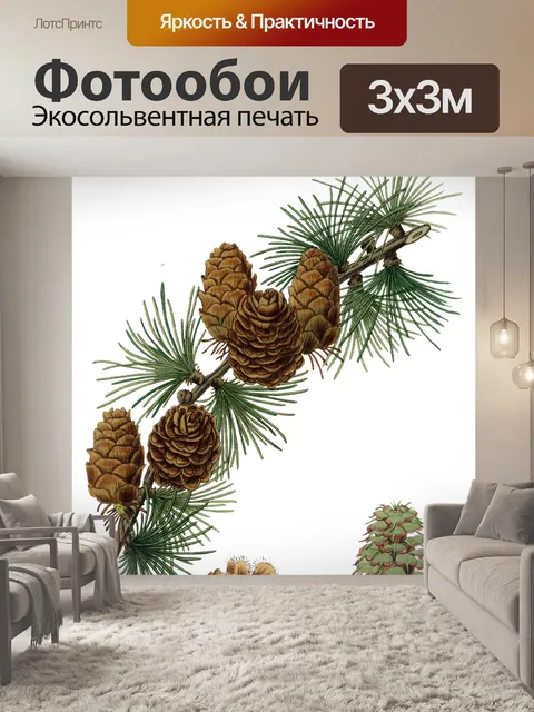 Фотообои Винтажный клипарт еловые ветки шишек