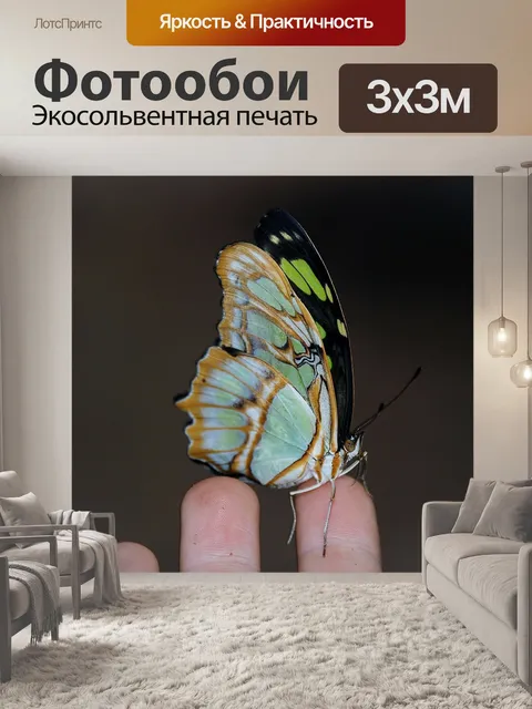 Фотообои Сипроэта