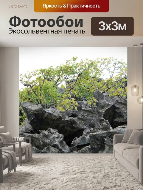 Фотообои Камни и деревья