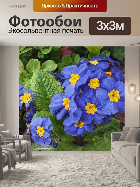 Фотообои Синие цветы