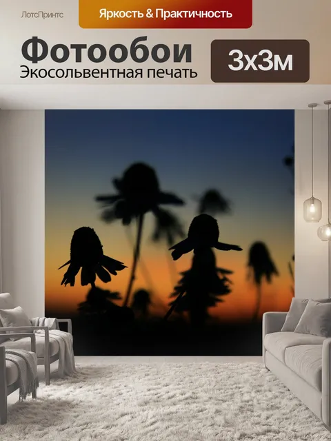 Фотообои Ромашки