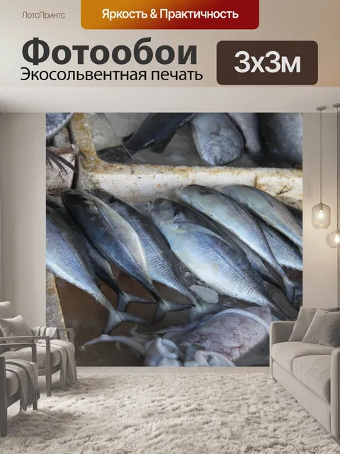 Фотообои Рыбы