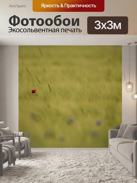 Фотообои Мак