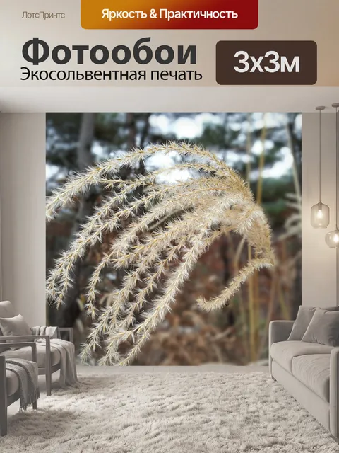 Фотообои Трава серебра