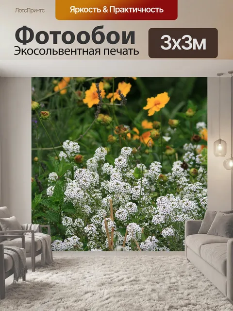Фотообои Alyssum и желтые ромашки