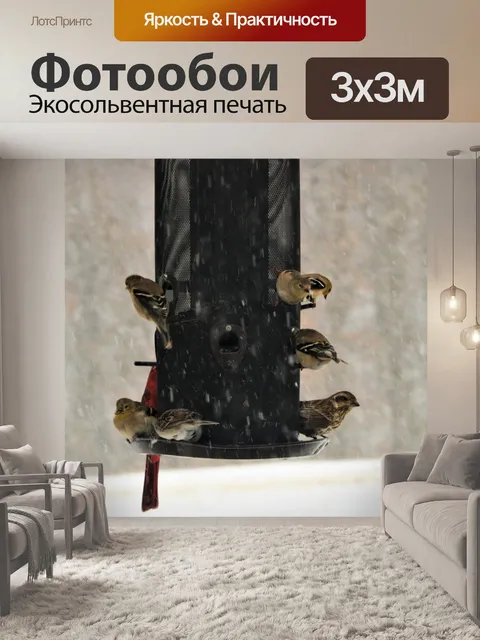 Фотообои Птицы на кормушке в снегу