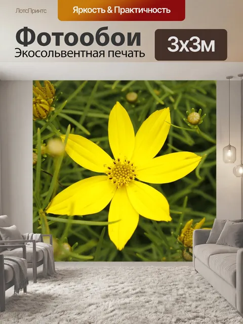 Фотообои Жёлтый