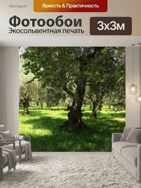 Фотообои Оливковые деревья