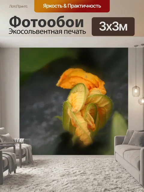 Фотообои Цветок