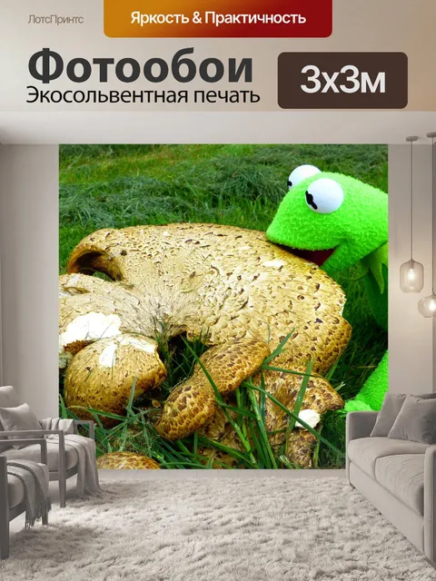 Фотообои Гриб