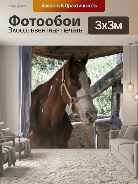 Фотообои Конный спорт