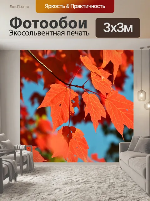 Фотообои Падение