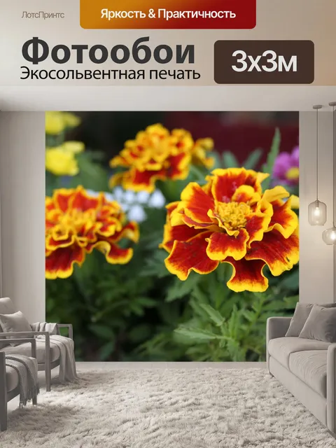 Фотообои Американский календулы