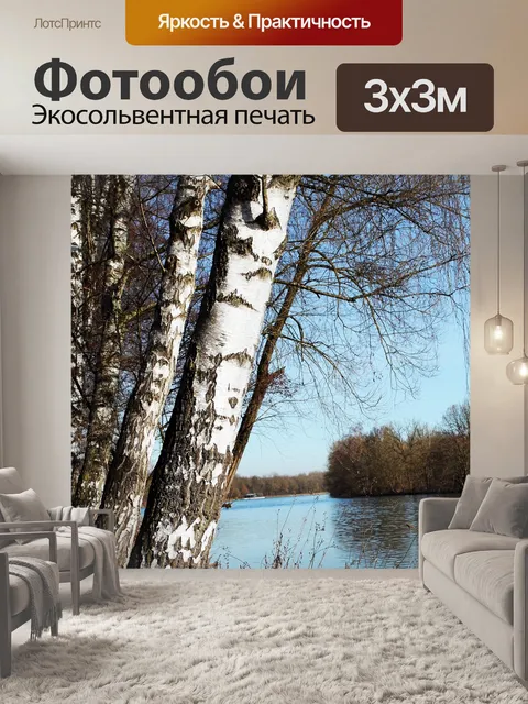 Фотообои Береза