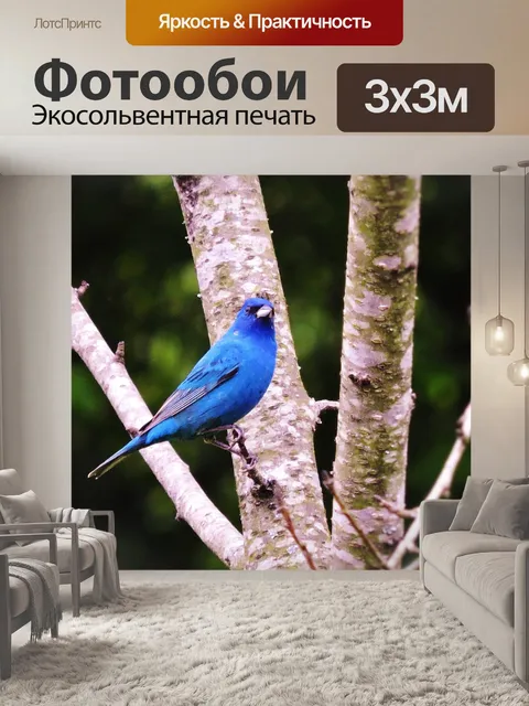 Фотообои Индиго овсянка