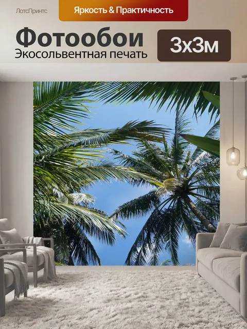 Фотообои Пальмы