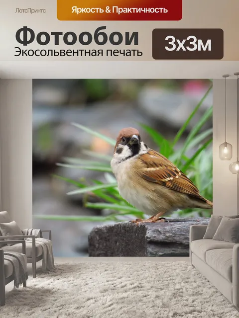 Фотообои Пальма