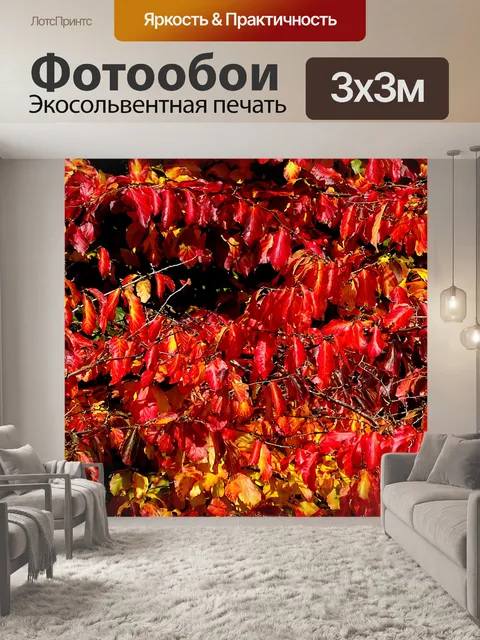 Фотообои Красный Осень Fall Tree Leaves