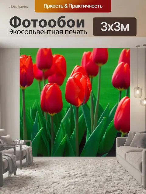 Фотообои красные тюльпаны на зеленой лужайке