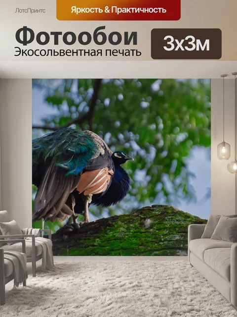 Фотообои Коста-рика