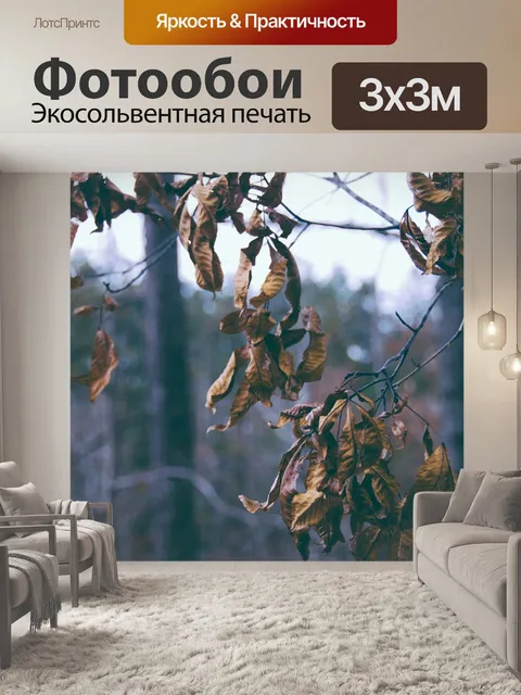 Фотообои Браун