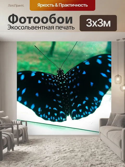 Фотообои бабочка