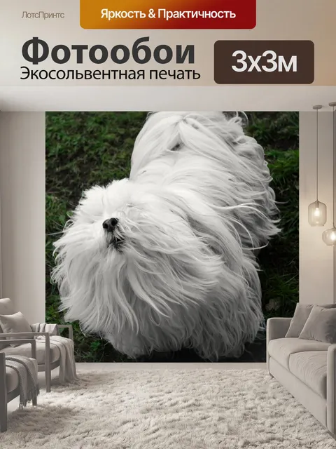 Фотообои Белая собака