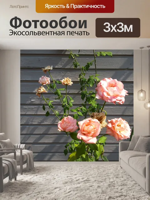 Фотообои Фото из роз