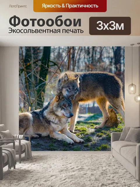 Фотообои Волки