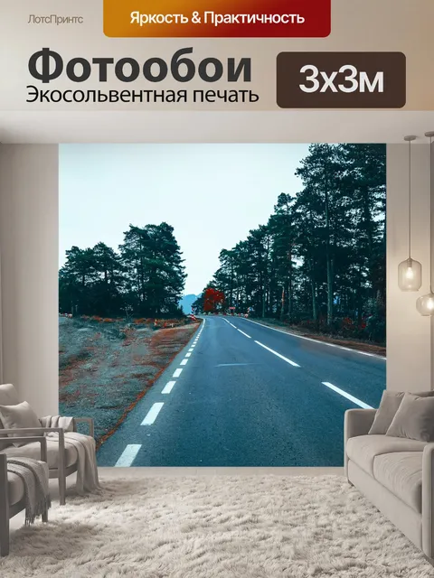 Фотообои Дорога
