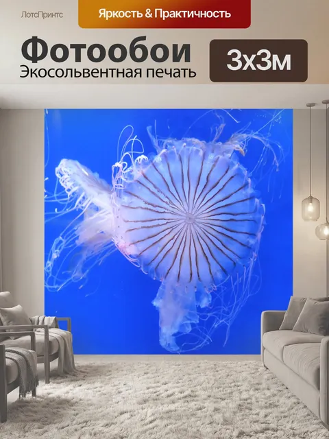 Фотообои Медуза
