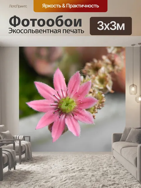 Фотообои Камень культур