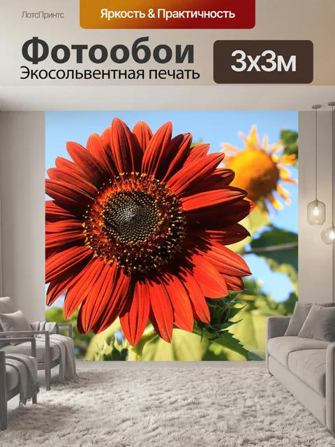 Фотообои Бархатная королева