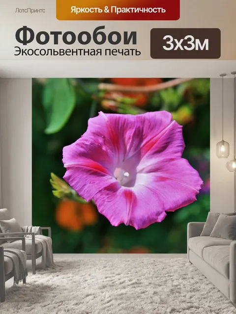 Фотообои нежно-розовый ипомеи