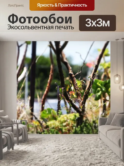 Фотообои Лес в миниатюре