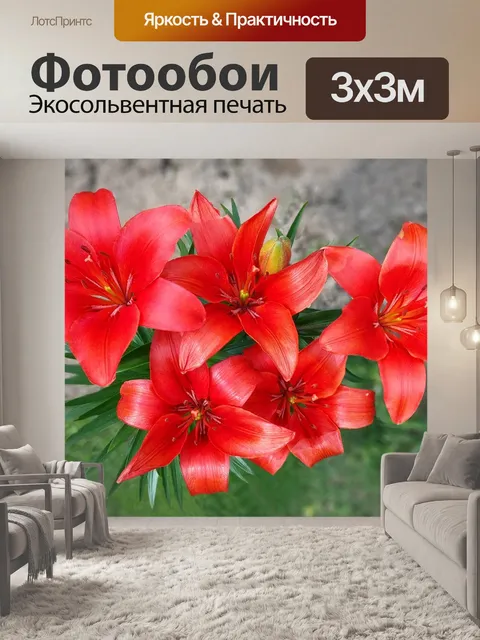 Фотообои Красная лилия
